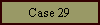 Case 29