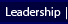 Leadership